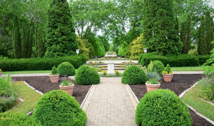 Professional landscaping in Temecula by Resilient Service Solutions